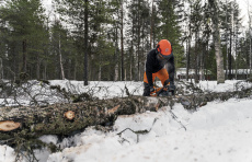 Бензопила Husqvarna 450 II 15&quot; 0.325 1.3 64DL HSM