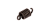Пружина сцепления 522HD60X 522HDR75X