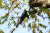 wl782ckumnjk13py01sbyvtngx6iyrrm