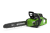 greenworks_2005807