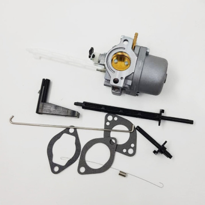 Карбюратор BS 796122