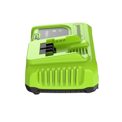 Ультрабыстрое зарядное устройство Greenworks G24C8 (24В, 8А)