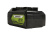greenworks_2939307-2