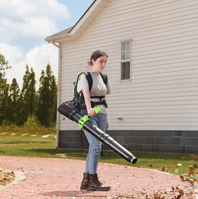 Воздуходув аккумуляторный ранцевый Greenworks GD40BPG2 (40В, с АКБ на 4А*ч и ЗУ)