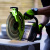 greenworks_1501307-4