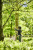 greenworks_1401107-7