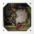daewoo_DDAE 9000SSE-3-5