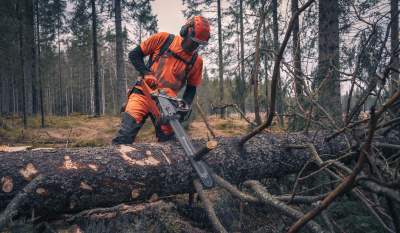 Бензопила Husqvarna 592ХР 24" 3/8 1.5 84DL С85 X-Cut HLM X-Tough Light RSN