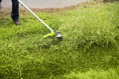 Триммер аккумуляторный Greenworks GD60LTK4 (60В c АКБ 1х4Ач и ЗУ) 40см