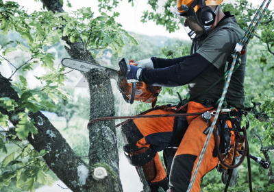 Бензопила Husqvarna T540XPII 14" 0.325 1.1 59DL SP21G X-Cut HSM