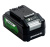 greenworks_2938407-1