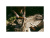 nzvMP6mapT92xBvCUYydhtIRJBcq4rrpd7DkLDrw-1200x900