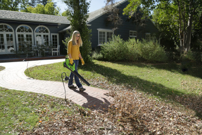 Воздуходув аккумуляторный Greenworks G40AB (40В без АКБ и ЗУ) Воздуходув аккумуляторный Greenworks G40AB (40В без АКБ и ЗУ)