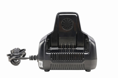 Зарядное устройство Greenworks G60DC10 (60В, 10А)