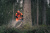 husqvarna_970 49 31-24-6 husqvarna_970 49 31-24-6