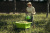 greenworks_7400007-10