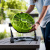 greenworks_3503407-4