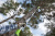 greenworks_2000107-11