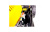 shtucer_2.800x600w shtucer_2.800x600w