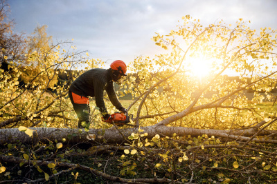 Бензопила Husqvarna 450 II 15" 0.325 1.3 64DL HSM