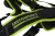 greenworks_2916207-3