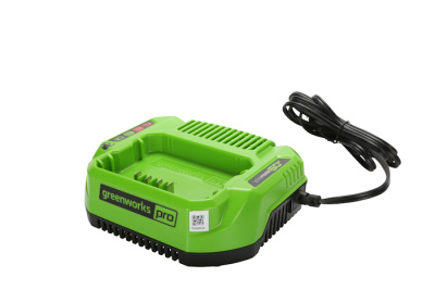 Зарядное устройство Greenworks G60UC (60В, 2А)