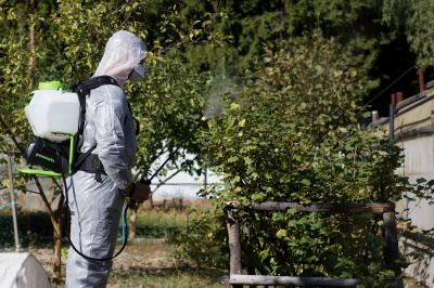 Опрыскиватель аккумуляторный Greenworks G40BPS (40В, без АКБ и ЗУ)