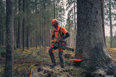Бензопила Husqvarna 592ХР 24" 3/8 1.5 84DL С85 X-Cut HLM X-Tough Light RSN