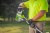 75382ef4_061f_11f0_a7c3_00155d2c0600_6c6361fe_1097_11f0_a7c3_00155d2c0600