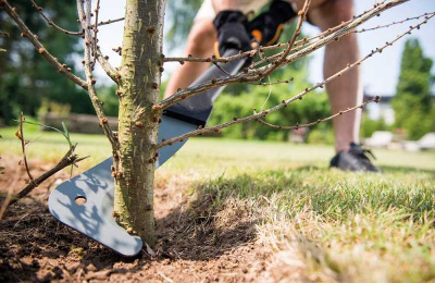 Секач для сучьев ХA23 FISKARS