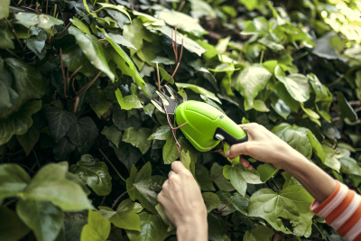 Ножницы аккумуляторные Greenworks G3.6HS (3.6В, встр.акк, 2Aч)