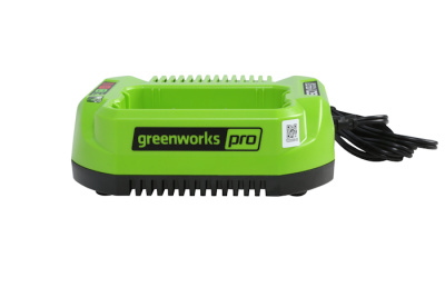 Зарядное устройство Greenworks G60UC (60В, 2А)